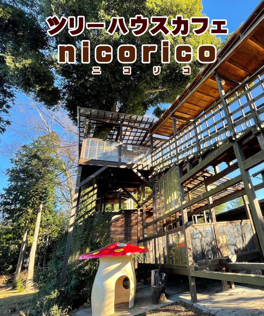 nicoricoトップ